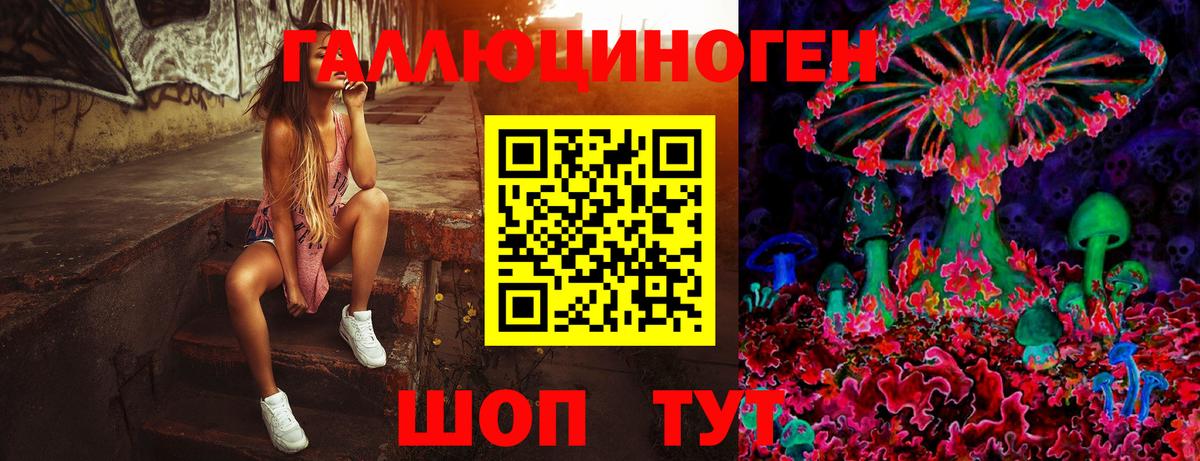 купить  сайты  Псилоцибиновые грибы мухоморы  Вход с VPN  Рославль  Галлюциногенные грибы GOLDEN TEACHER 
